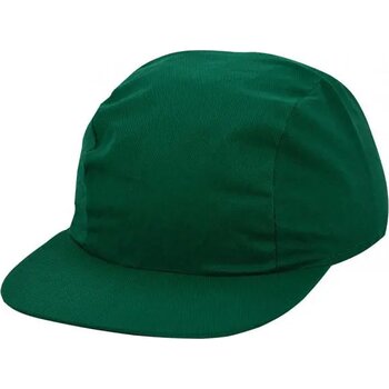 Lichtgroen - 100% Cotton 23x23, 3 panel